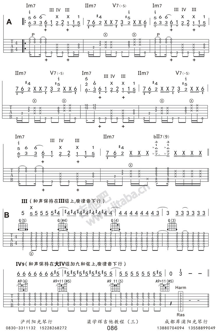 Kotaro Oshio Ѻβ`` guitar